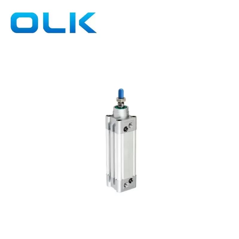 Пневмоцилиндр OLK DNCJ100