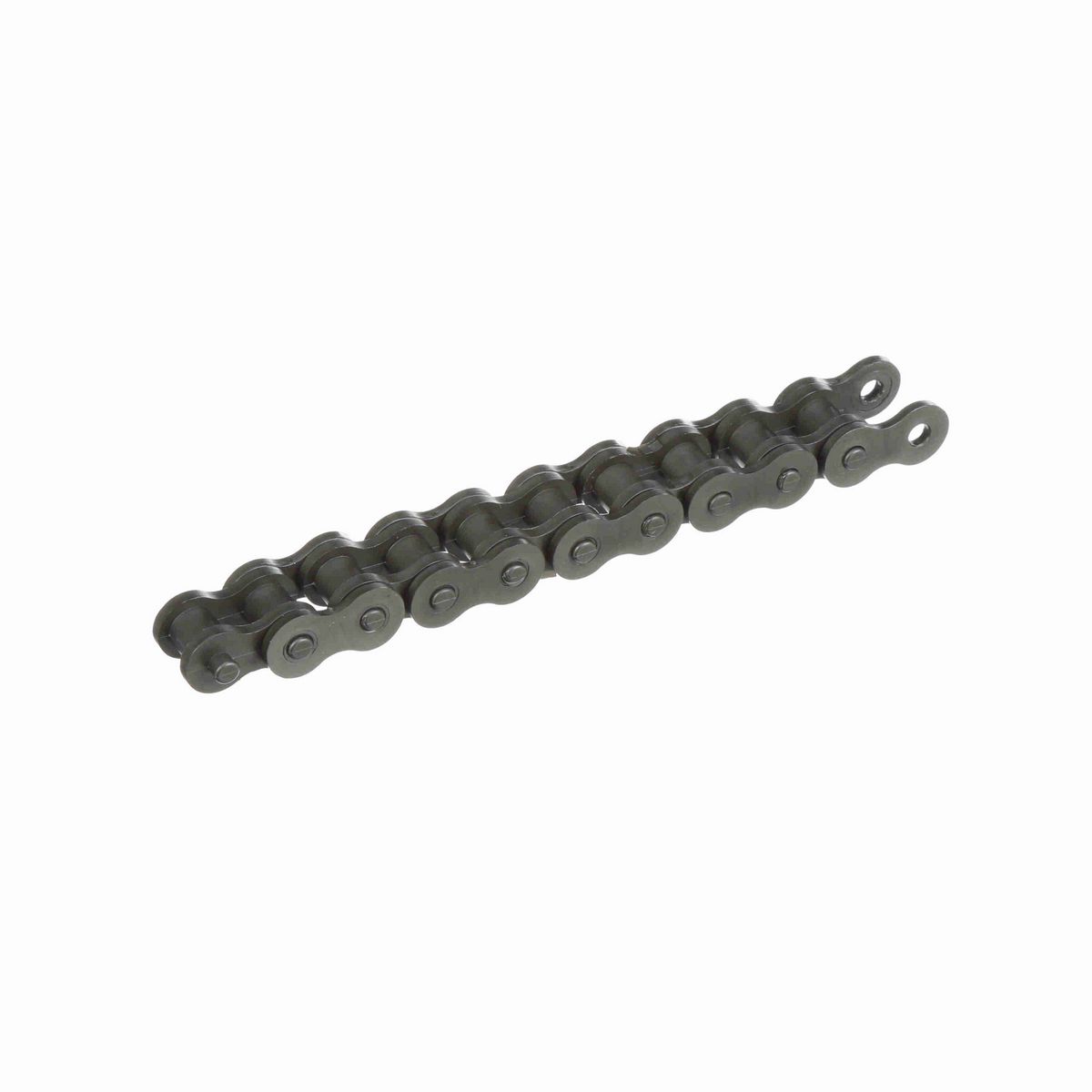 NYLATRON THERMOPLASTIC CHAIN - 40 NYLATRON 10 FT