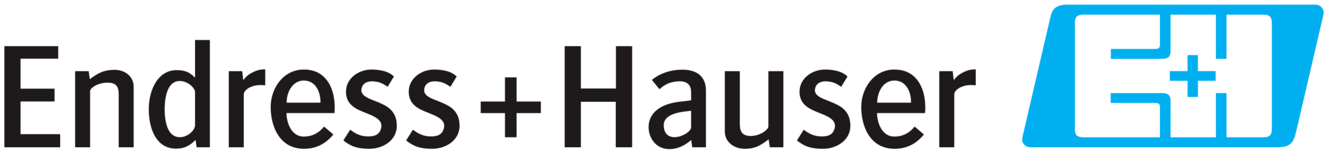 ENDRESS+HAUSER