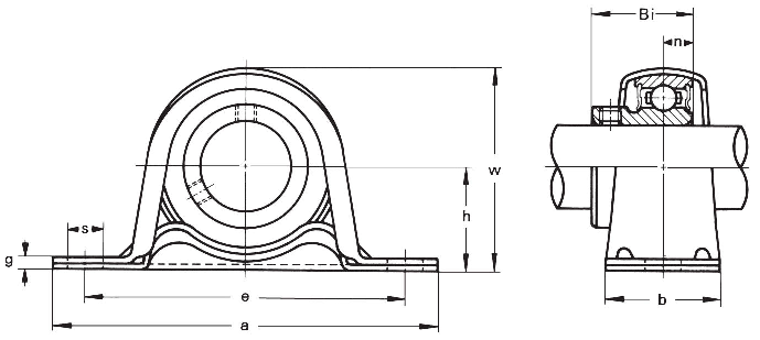 Подшипниковый узел ASAHI type BPP 200, BPP 203-Z2 [502132]