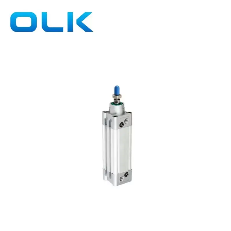 Пневмоцилиндр OLK DNC100